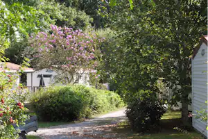 Campingweg zwischen grünen Büschen und Bäumen, links und rechts Gartenhütten mit Holzverkleidung und kleinen Beeten.