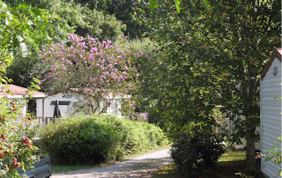 Camping Etche Zahar