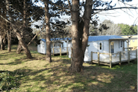 Camping Etennemare - Ferienwohnungen mit Terrasse im Schatten der Bäume