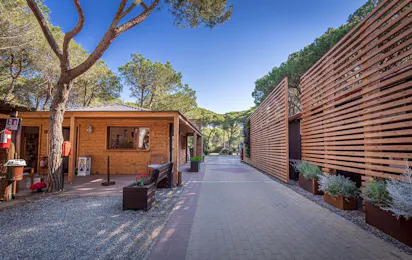 Camping Internazionale Etruria