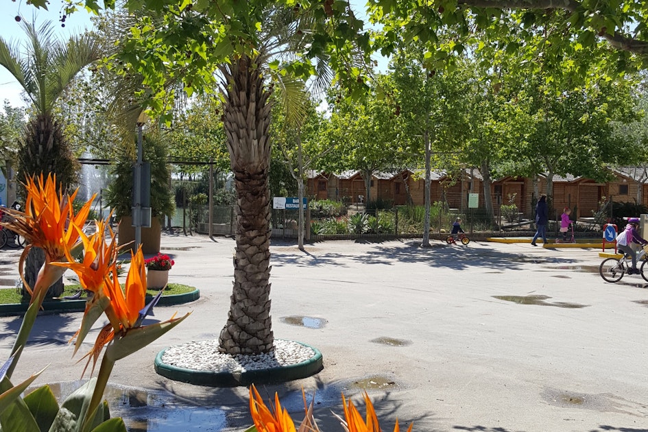 Camping Eucaliptus PiNCAMP by ADAC