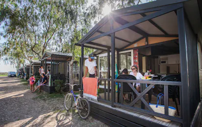 Camping Eucaliptus