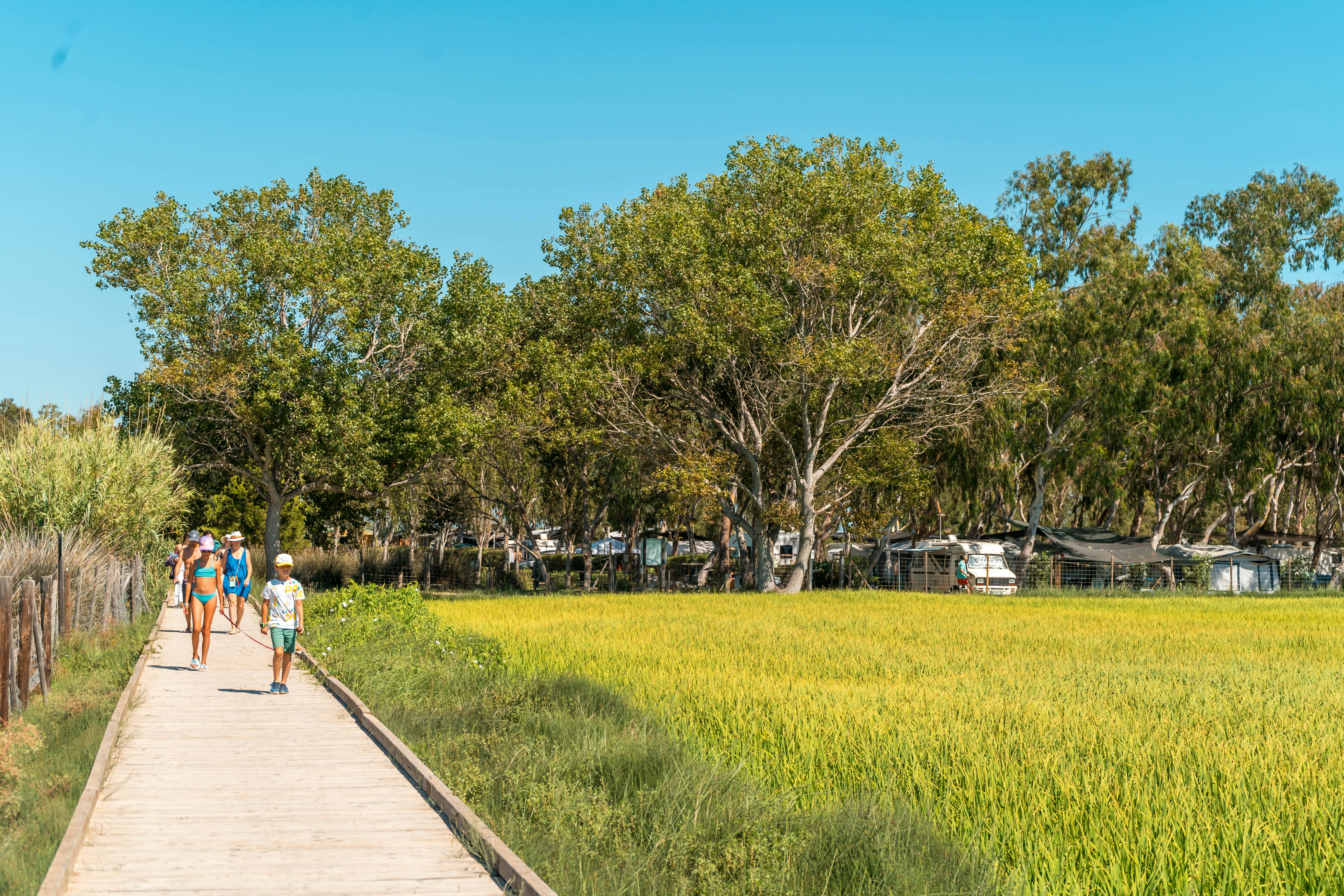 Camping Eucaliptus - Spazierweg am Campingplatz