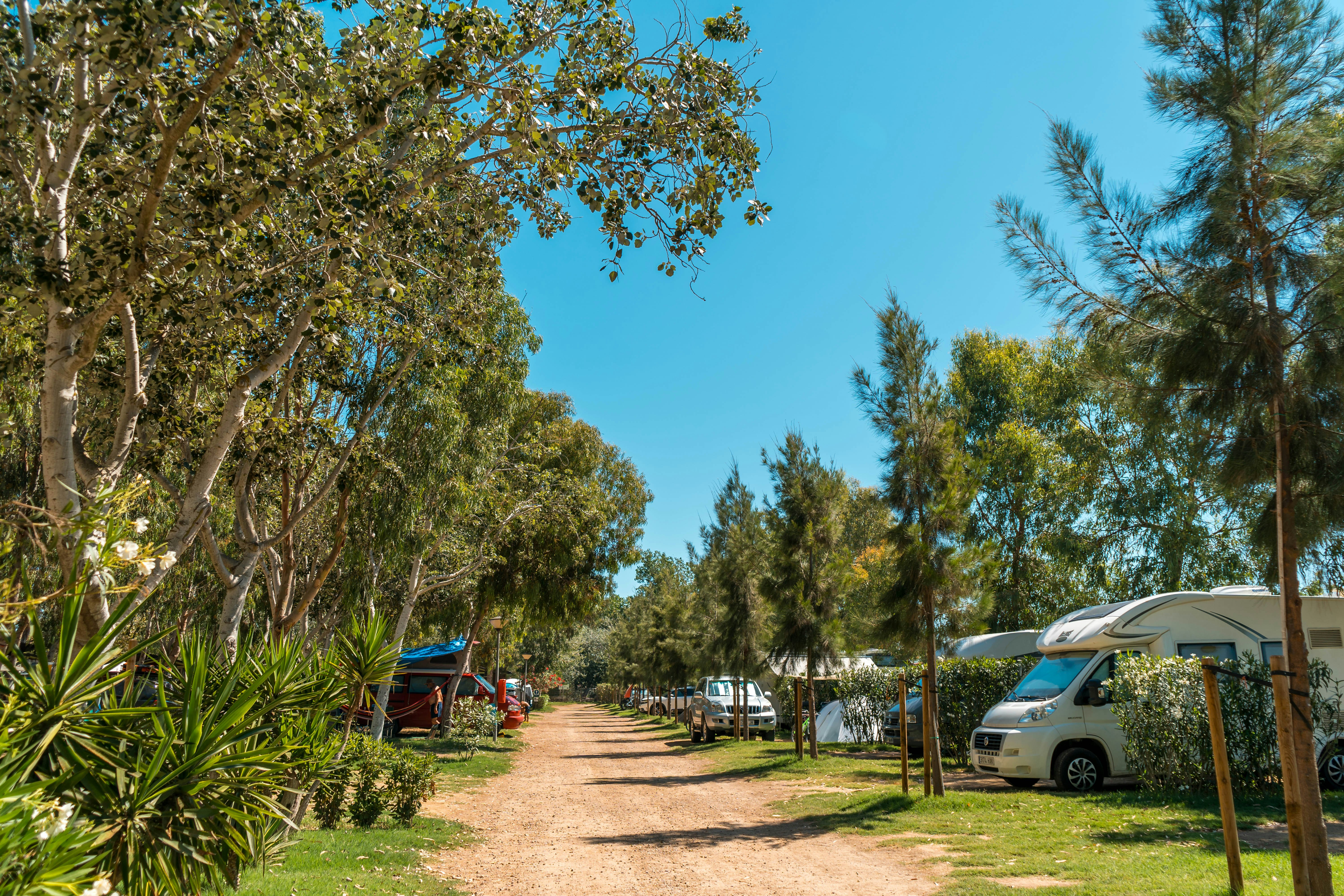 Campingweg zwischen Bäumen und Palmen, links ein Wohnmobil, rechts weitere Fahrzeuge und Stellplätze am Rasen.