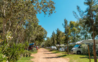 Camping Eucaliptus