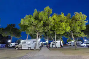 Camping Euro 92 - Standplätze zwischen den Bäumen auf dem Campingplatz