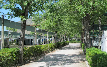 Camping Europa (Terracina)