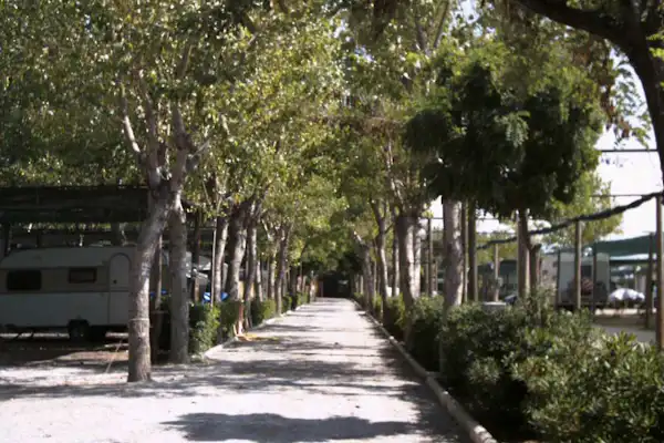 Camping Europa (Terracina)
