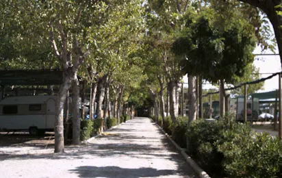 Camping Europa (Terracina)