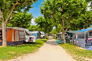 Campingstellplätze mit Zelten, Fahrrädern und Wohnwagen, entlang eines gepflasterten Wegs zwischen grünen Bäumen.