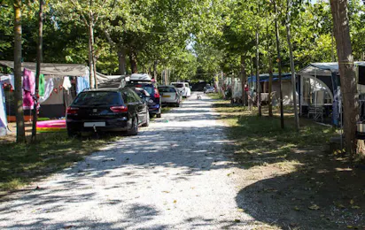 Camping Europa (Torre del Lago Puccini)