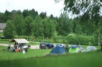 Camping Ezerkrasts - Zeltplatz umringt von Wald auf dem Campingplatz