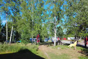 Camping Falkudden - Campingbereich für Zelte und Wohnwagen im Schatten der Bäume