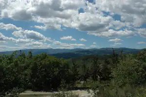 Blick über bewaldete Hügel und Bäume in die Ferne, mit Wolken am Himmel über einer ruhigen Landschaft.