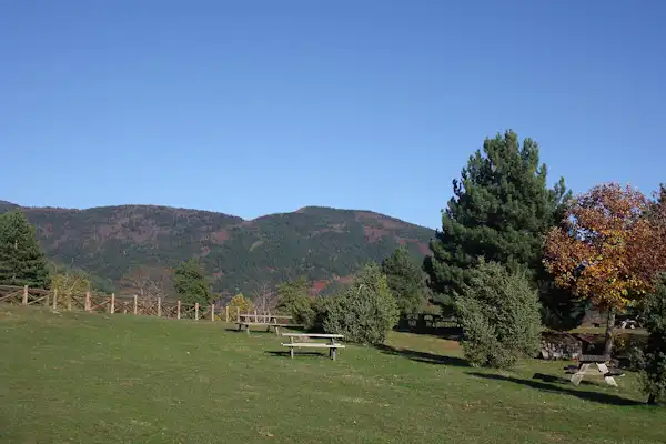 Camping Falterona