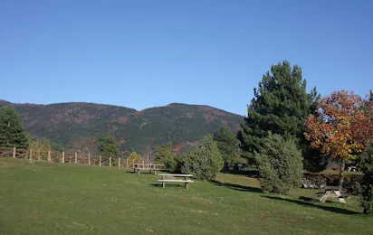 Camping Falterona