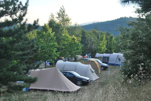 Camping Falterona - Zeltplatz vom Campingplatz im Grünen