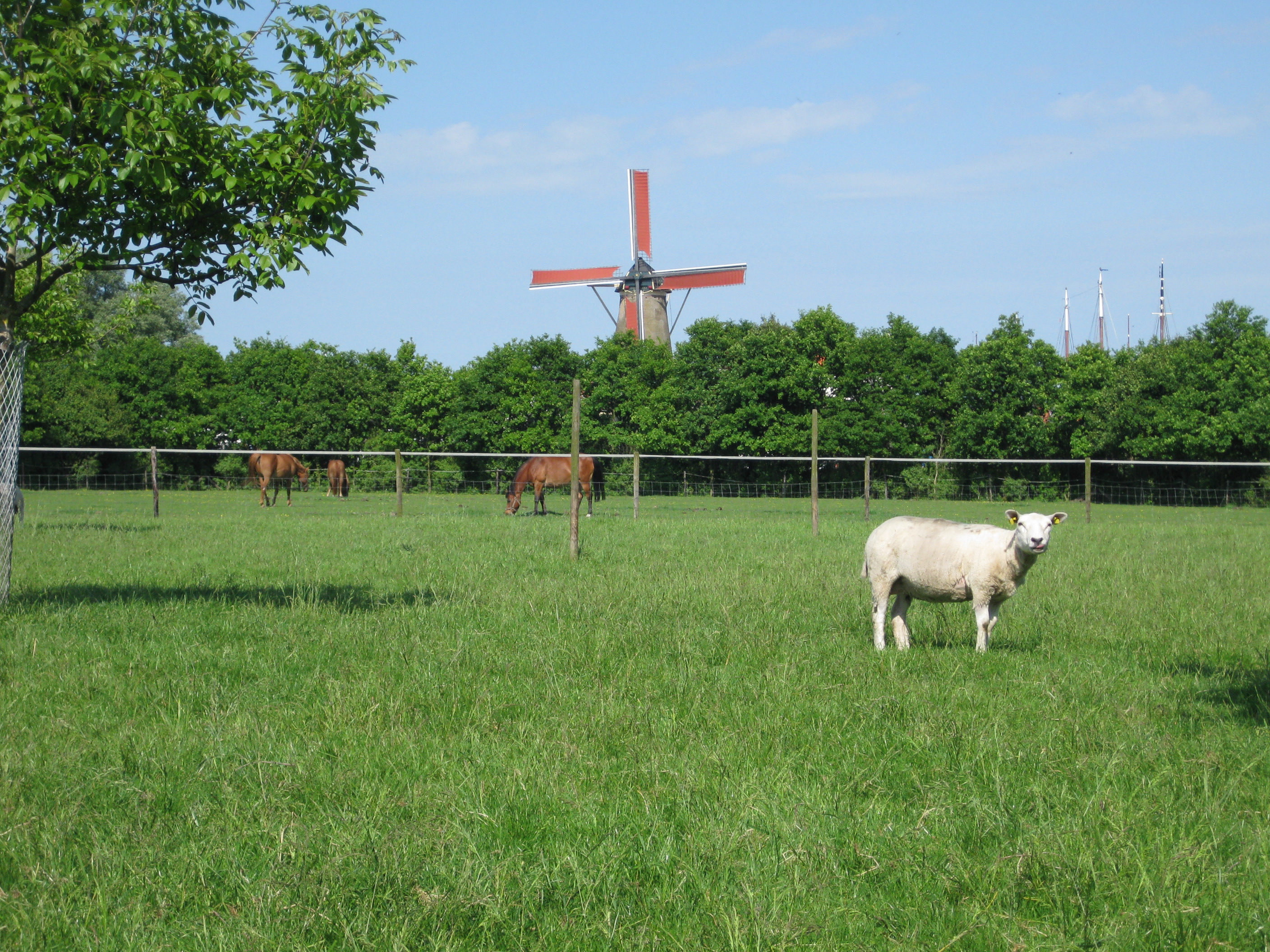 Camping Familie Kloet