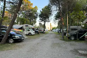 Camping Familja - Standplätze zwischen den Bäumen auf dem Campingplatz