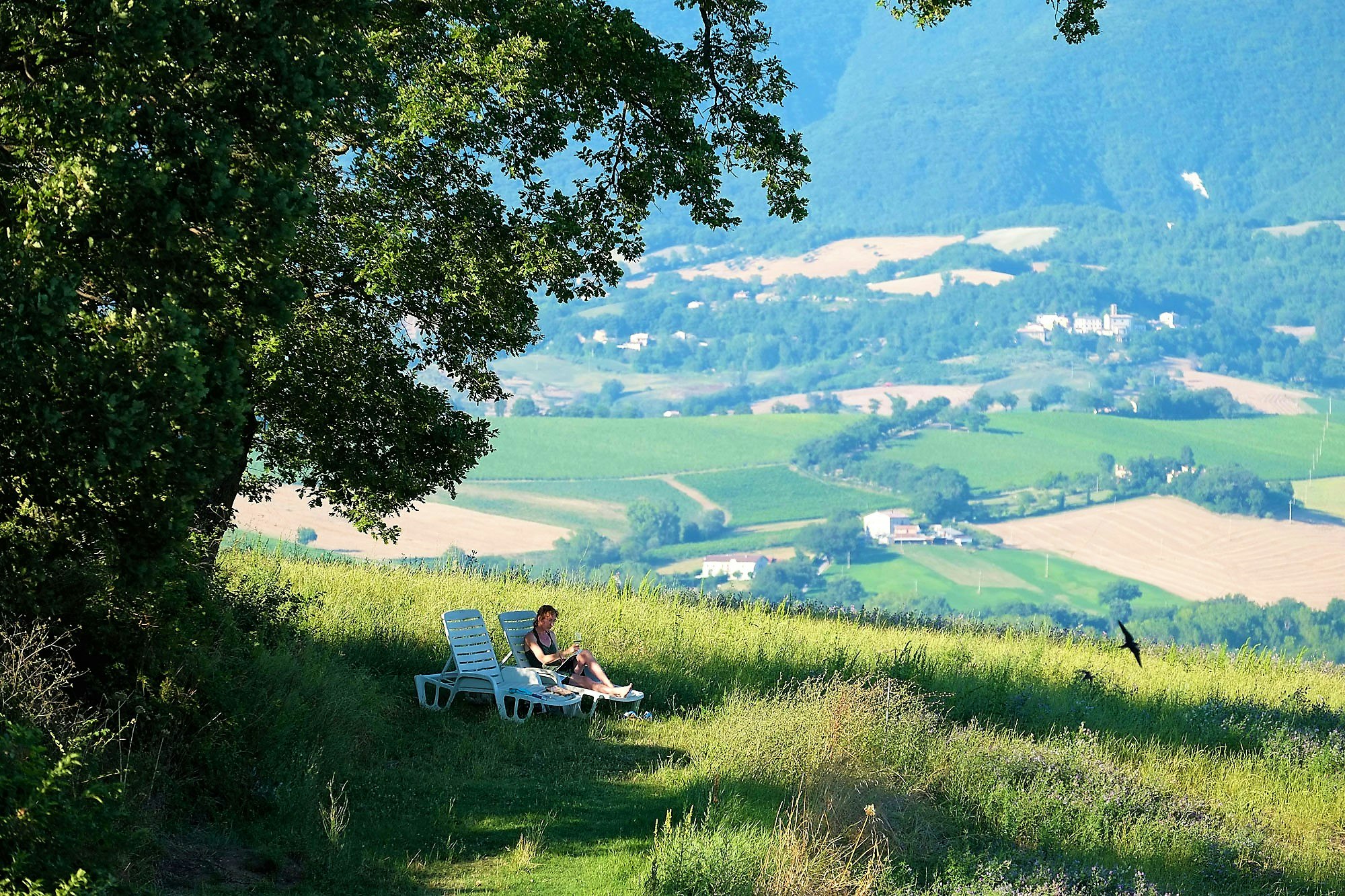 Camping Faranghe - Campinggast entspannt im Schatten eines Baumes