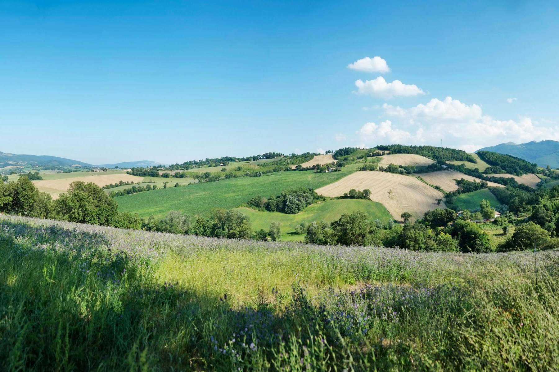 Camping Faranghe - Panoramablick auf die Umgebung des Campingplatzes