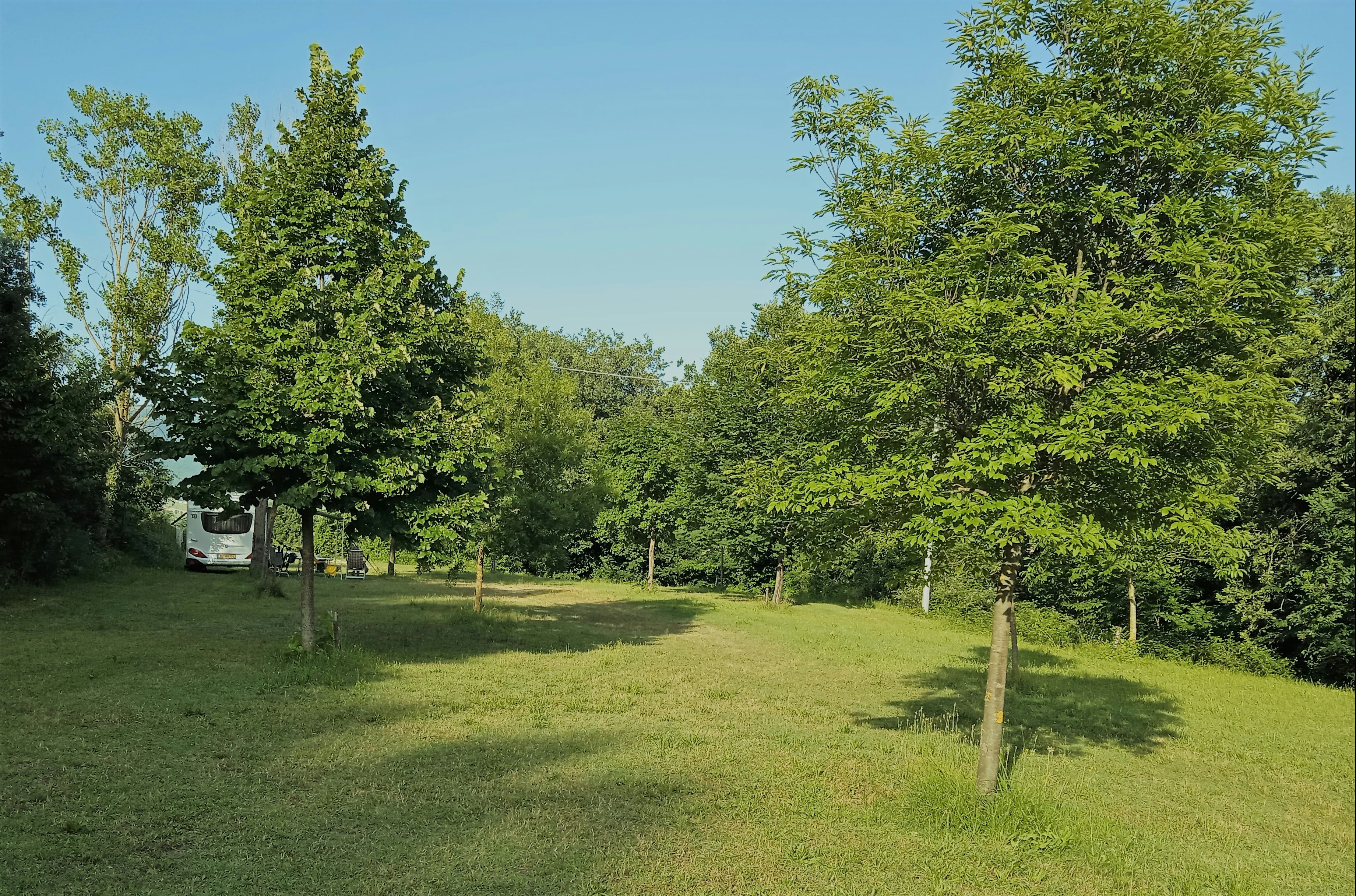 Camping Faranghe - Stellplätze im Grünen umgeben von Bäumen