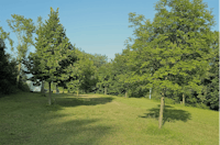 Camping Faranghe - Stellplätze im Grünen umgeben von Bäumen
