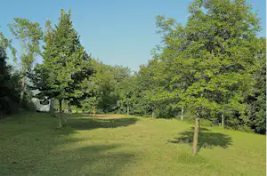 Camping Faranghe - Stellplätze im Grünen umgeben von Bäumen