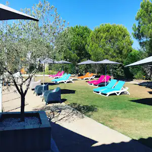 Gepflegter Campinggarten mit mehreren Sonnenliegen, bunten Auflagen und Sonnenschirmen, umgeben von Bäumen und Rasen.