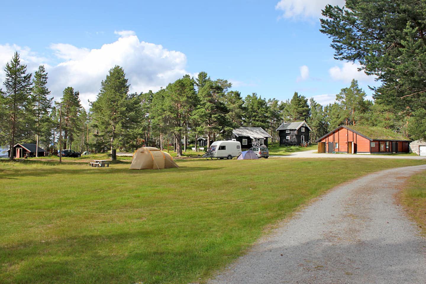 Camping Femundtunet - Wohnwagen- und Zeltstellplatz vom Campingplatz zwischen Bäumen