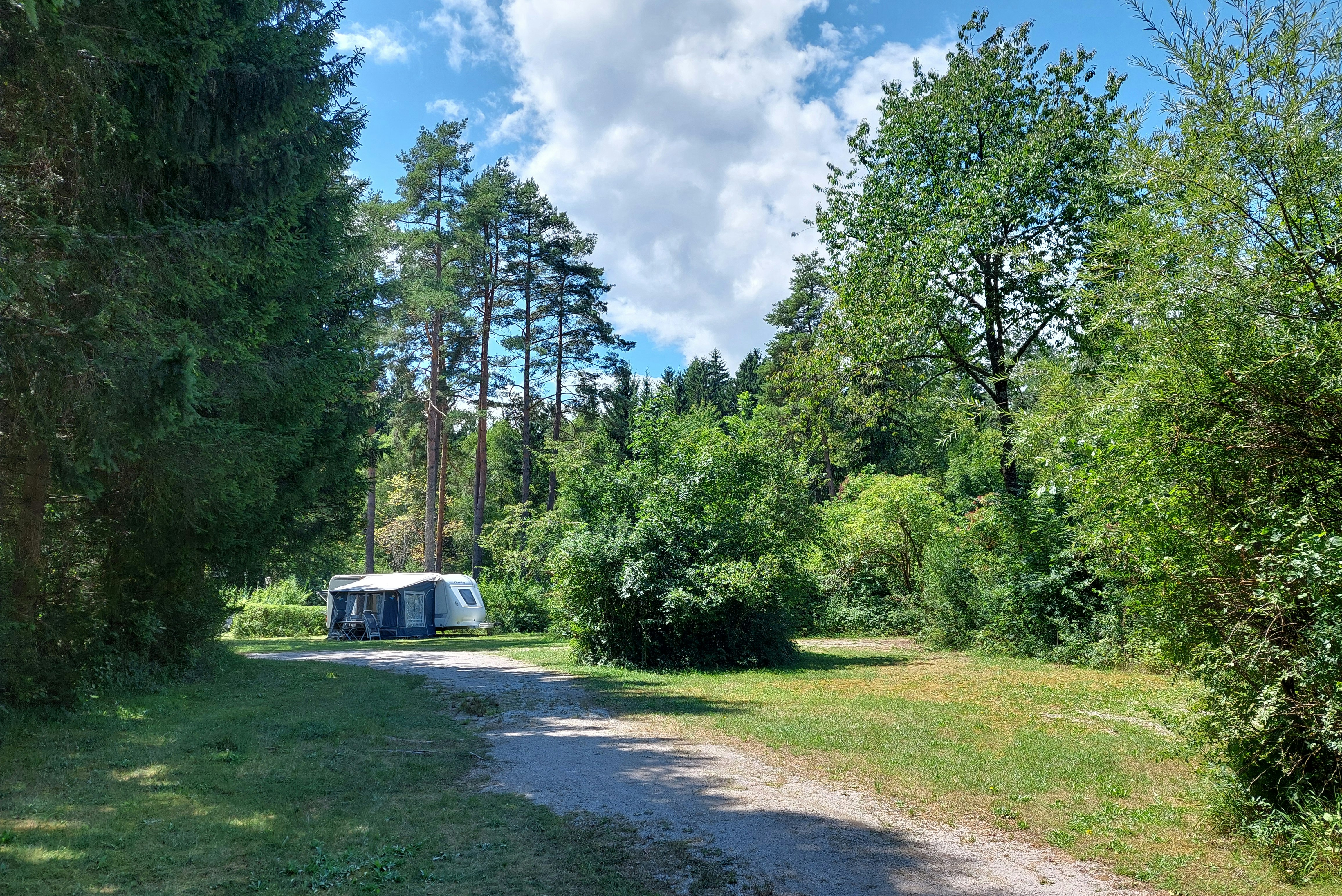 Campingweg durch den Wald mit Wohnwagen am Rand, umgeben von Bäumen und Rasenfläche.