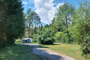 Campingweg durch den Wald mit Wohnwagen am Rand, umgeben von Bäumen und Rasenfläche.