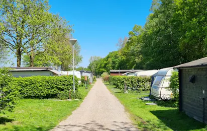 Camping & Ferienpark Waldfrieden