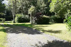 Grüner Campingplatz mit Rasenfläche, Kiesweg und hohen Bäumen im Schatten, umgeben von Hecken und Sträuchern.