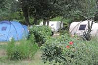 Camping Ferme des Campagnes -  Wohnwagen- und Zeltstellplatz zwischen Bäumen