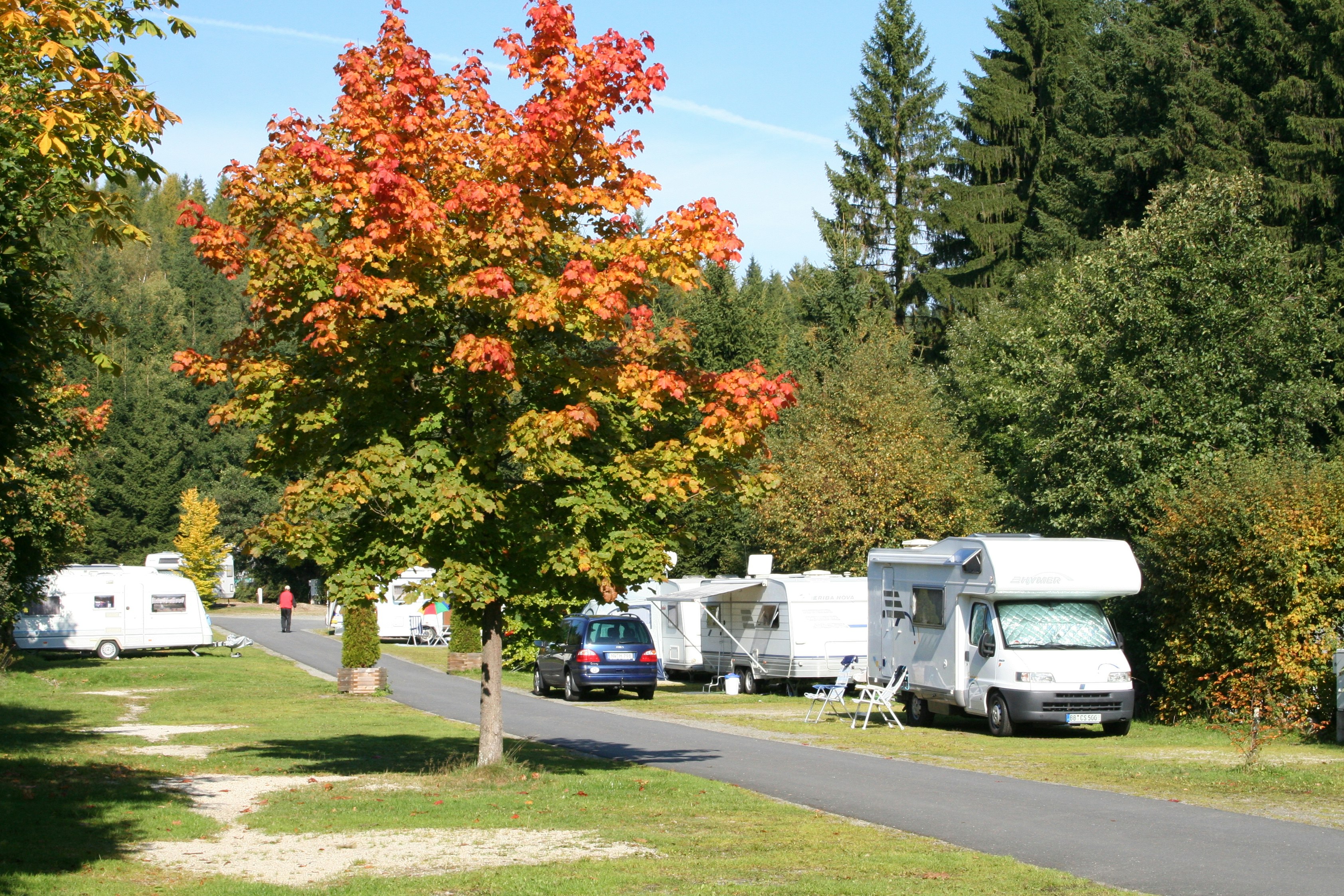 Camping Fichtelsee - Standplätze im Grünen auf dem Campingplatz