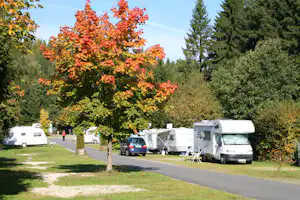 Wohnmobile und Campingbusse auf dem Stellplatz, gesäumt von Laubbäumen mit buntem Herbstlaub und einem Weg.