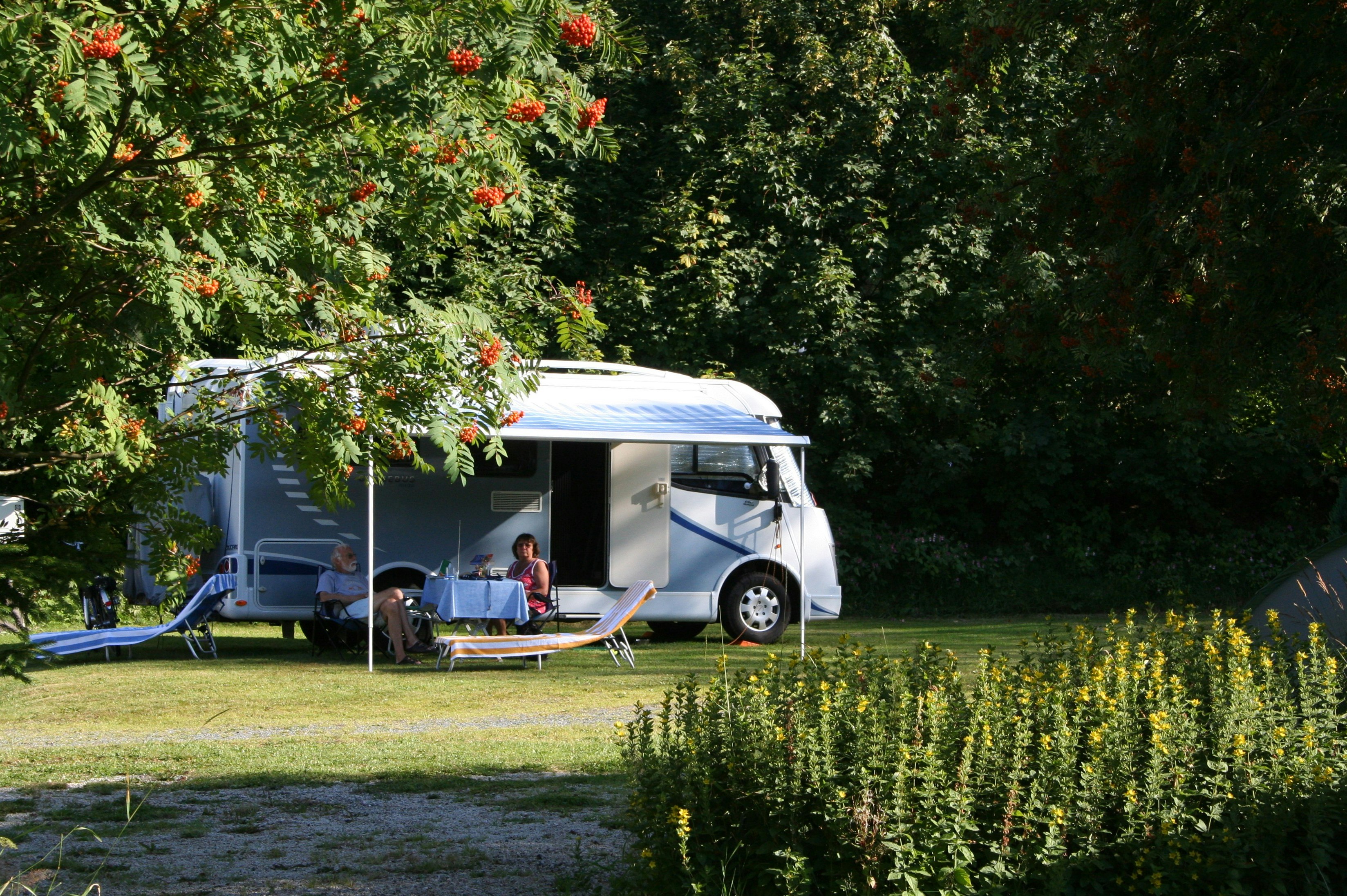 Camping Fichtelsee - Standplätze im Grünen auf dem Campingplatz
