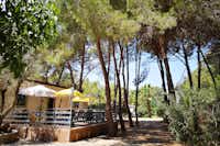 Camping Fico d'India - Snack Bar Terrasse