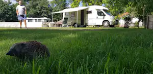 Camping Fiederels