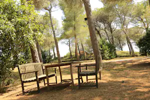 Holzterrasse im Wald mit Tisch und Bank, umgeben von hohen Bäumen und Grasfläche.