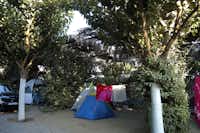 Camping Finikes -  Zeltstellplätze im Grünen auf dem Campingplatz