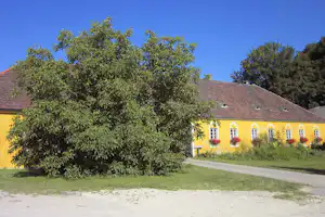 Camping Finsterhof - Außenansicht der Rezeption auf dem Campingplatz