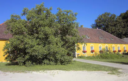 Camping Finsterhof