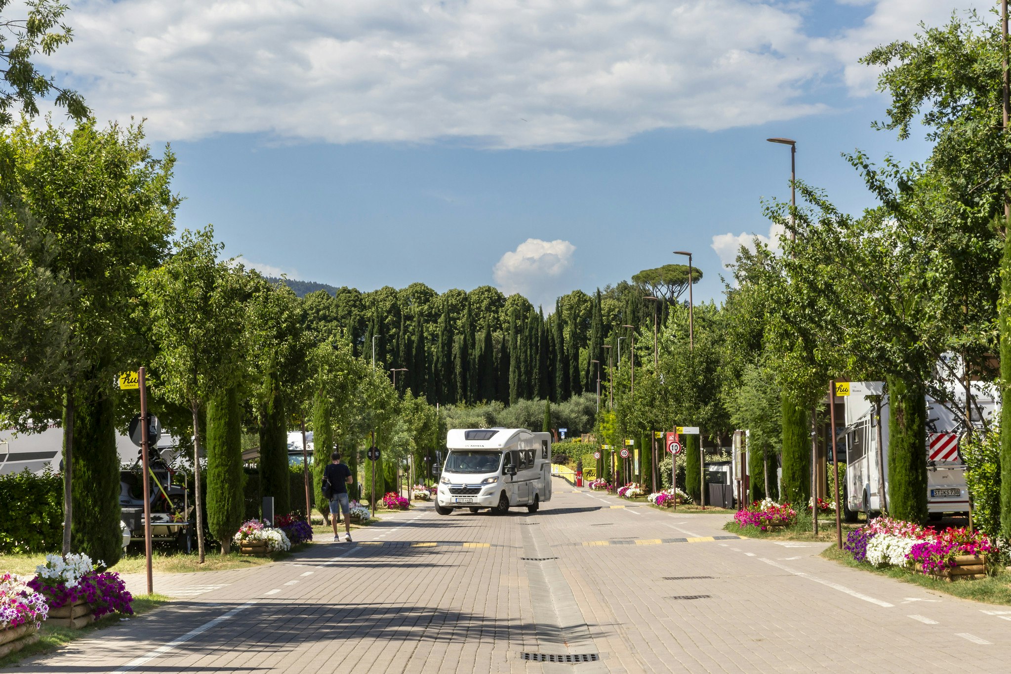 Campingplatz-Straße mit Wohnmobilen, Bäumen und Blumenbeeten, im Hintergrund Hügel und ein Laternenmast.