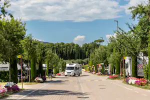 Campingplatz-Straße mit Wohnmobilen, Bäumen und Blumenbeeten, im Hintergrund Hügel und ein Laternenmast.