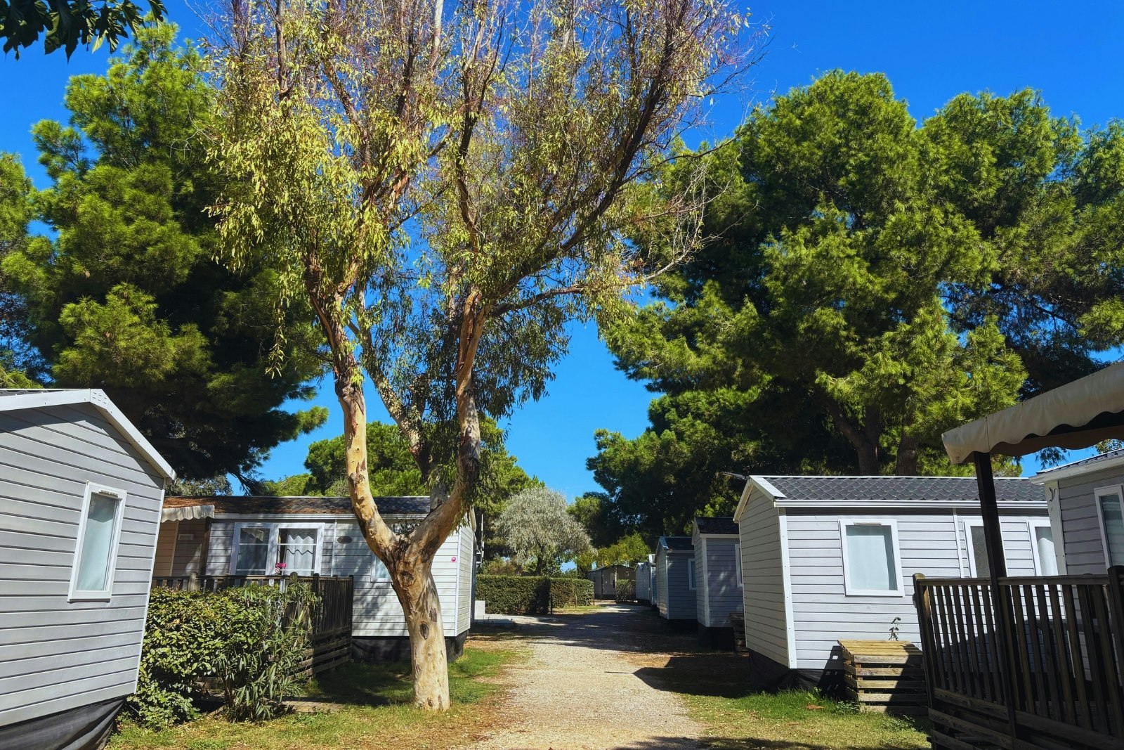 Camping Les Flamants Roses