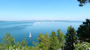 Blick vom Campingplatz auf einen See mit mehreren Segelbooten, umgeben von Bäumen und grünem Ufer.