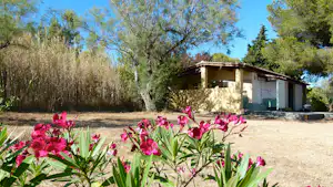 Blühende pinke Blumen vor einem Campingplatz-Gebäude mit Terrasse, umgeben von Bäumen und Sträuchern im Hintergrund.