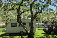 Camping Flåm - Wohnwagen unter Bäumen auf dem Campingplatz